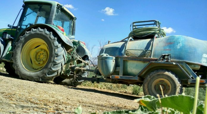 ¿Cómo se deben aplicar los tratamientos fitosanitarios en tiempo frío? fitosanitarios