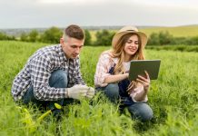 El Ministerio de Agricultura concede ayudas a 1.194 explotaciones agrarias de titularidad compartida en 2025 titularidad compartida