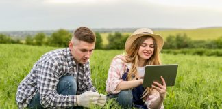 El Ministerio de Agricultura concede ayudas a 1.194 explotaciones agrarias de titularidad compartida en 2025 titularidad compartida