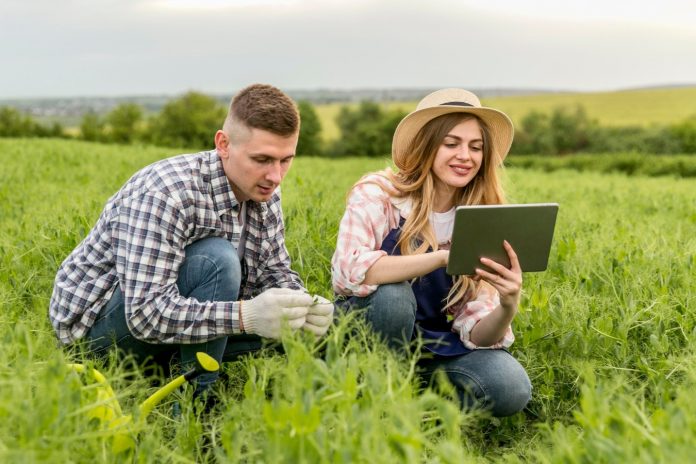 titularidad compartida titularidad compartida