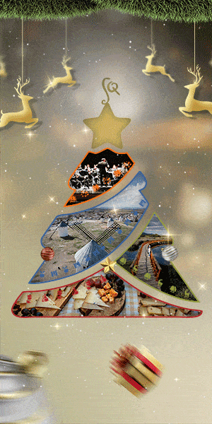 DIPU CR SABOR QUIJOTE