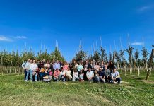 Expertos mundiales avanzan en la lucha contra la Xylella fastidiosa Xylella fastidiosa
