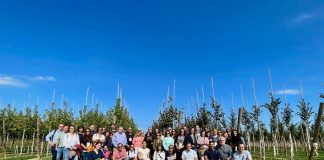 Expertos mundiales avanzan en la lucha contra la Xylella fastidiosa Xylella fastidiosa