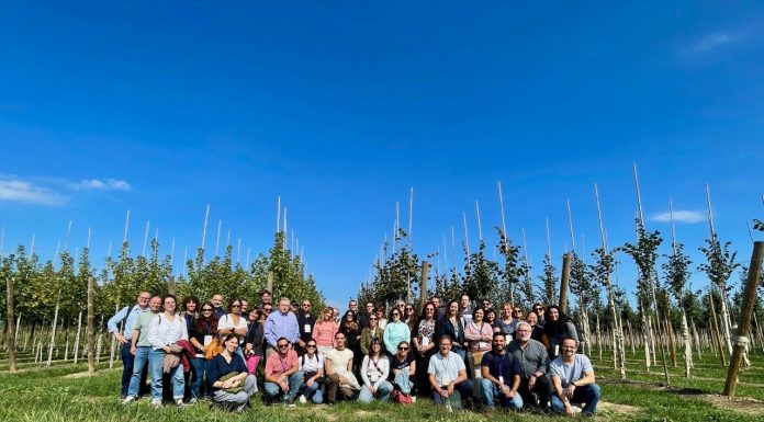 Expertos mundiales avanzan en la lucha contra la Xylella fastidiosa Xylella fastidiosa
