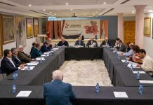 La DO La Mancha permitirá la elaboración de vinos de baja graduación alcohólica y blancos de uvas tintas DO La Mancha