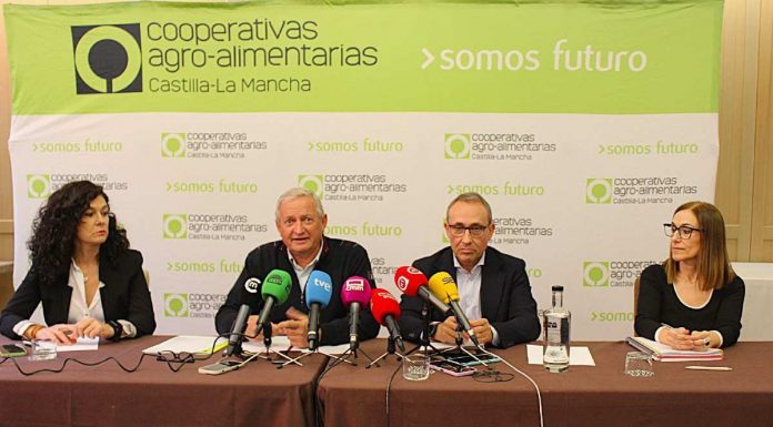 ¿Cómo ha sido el 2025 para los diversos sectores agrarios de Castilla-La Mancha? Balance 2025 de Cooperativas Agroalimentarias CLM