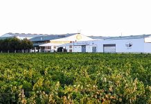 El vino blanco Ecológico Airén Pago Delgado, de Socuéllamos, obtiene un Oro en el certamen internacional EcoRácimo Bodega EHD