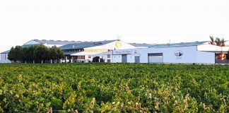 El vino blanco Ecológico Airén Pago Delgado, de Socuéllamos, obtiene un Oro en el certamen internacional EcoRácimo Bodega EHD