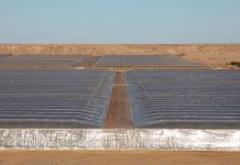 Los productores españoles de tomate se enfrentan a la competencia del Sahara tomates Sahara