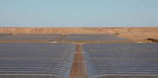 Los productores españoles de tomate se enfrentan a la competencia del Sahara tomates Sahara