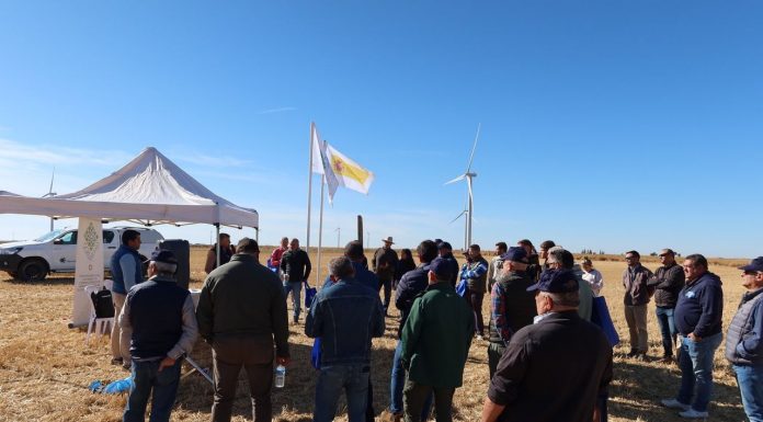 El Gobierno impulsa el conocimiento sobre la agricultura de carbono agricultura de carbono