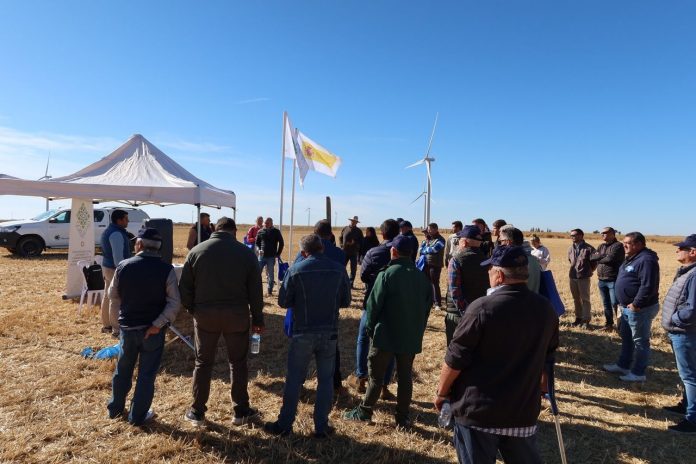 agricultura de carbono agricultura de carbono