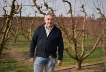 Opinión. Peste porcina: cuando la sanidad animal empieza en el monte. Pere Roqué. Presidente de ASAJA Cataluña Presidente ASAJA Cataluña