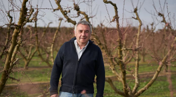 Opinión. Peste porcina: cuando la sanidad animal empieza en el monte. Pere Roqué. Presidente de ASAJA Cataluña Presidente ASAJA Cataluña