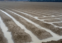 Las lluvias de Navidad, un regalo de Papá Noel en el levante español lluvia Alicante