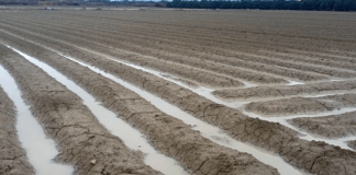 Las lluvias de Navidad, un regalo de Papá Noel en el levante español lluvia Alicante