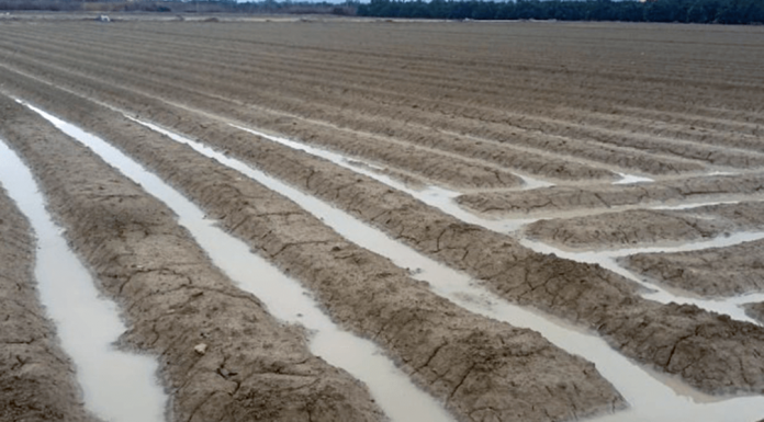 Las lluvias de Navidad, un regalo de Papá Noel en el levante español lluvia Alicante