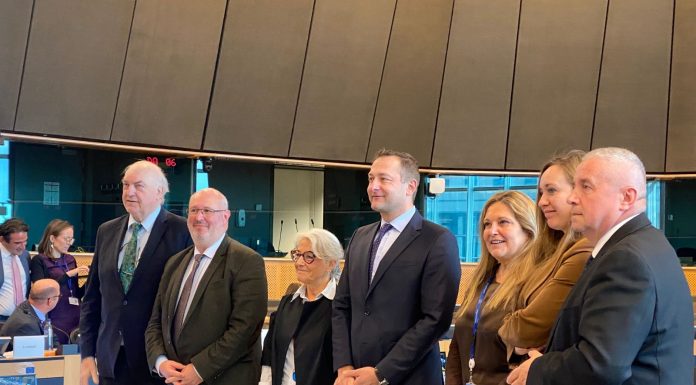 Europa se abre al arranque subvencionado de viñedo paquete vino