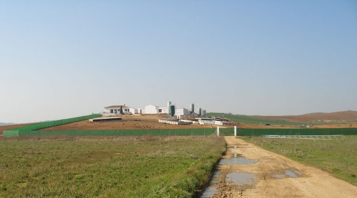 El diseño constructivo de las granjas es la primera barrera para reducir el riesgo de entrada y difusión de enfermedades explotación porcina