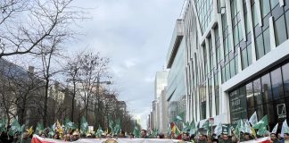 Miles de agricultores protestan en Bruselas contra el acuerdo UE-Mercosur y los posibles recortes de la PAC manifestación Bruselas