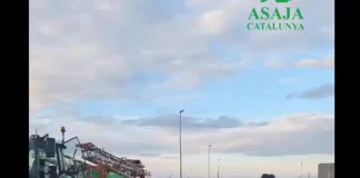 El campo catalán exige actuaciones inmediatas contra la fauna descontrolada manifestación Cataluña