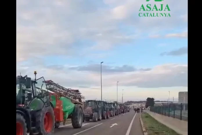 manifestación Cataluña manifestación Cataluña