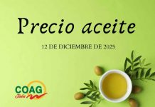 Precio medio en origen del aceite de oliva (12-diciembre-2025)
