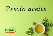 Precio medio en origen del aceite de oliva (5-diciembre-2025)