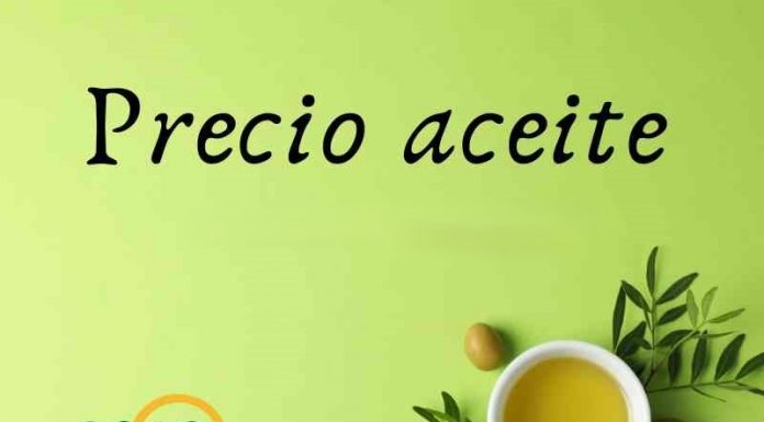 Precio medio en origen del aceite de oliva (5-diciembre-2025)
