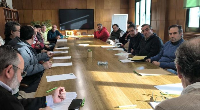 Los agricultores del Corredor del Henares, al límite por la plaga de conejos