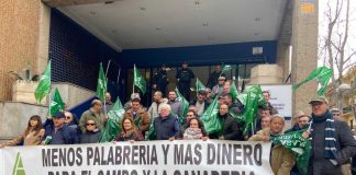 Ganaderos de Ciudad Real se concentran para exigir soluciones urgentes por la lengua azul concentración de ganaderos