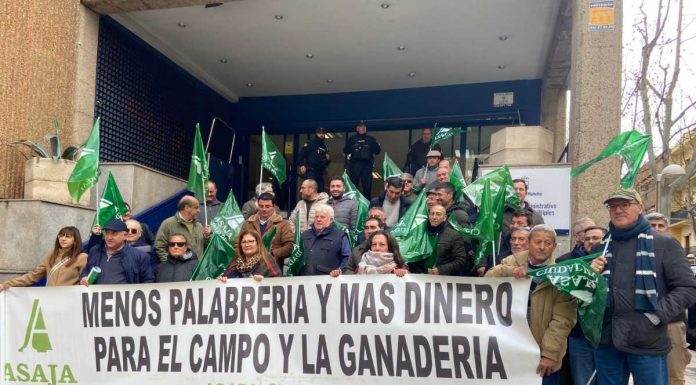 Ganaderos de Ciudad Real se concentran para exigir soluciones urgentes por la lengua azul concentración de ganaderos