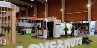 La Feria del Olivar y los Frutos Secos calienta motores para una nueva edición en Talavera Ferial “AOVE & NUTS”
