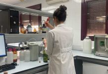 Castilla-La Mancha oferta empleo público para doctores en el ámbito agrario, ganadero y forestal