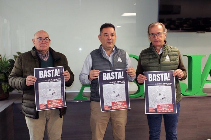 plaga de conejos plaga de conejos