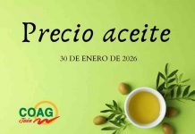 Precios medios en origen del aceite de oliva (30-enero-2026)