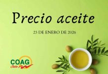 Precio medio en origen del aceite de oliva (23-enero-2026)