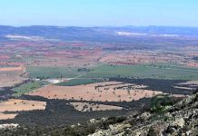 Repunte de la compraventa de fincas rústicas en pleno debate sobre el acceso a la tierra fincas rústicas
