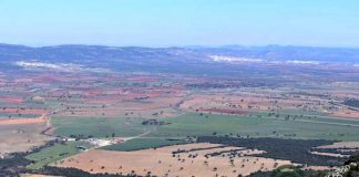 La compraventa de fincas rústicas bate récords en 2025, con 167.453 operaciones fincas rústicas