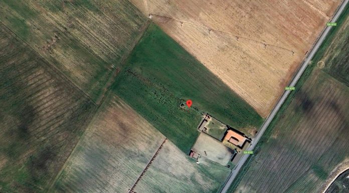 Sale a subasta una finca agroganadera a mitad de precio