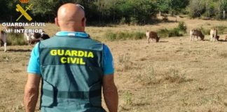 Alerta de robos en infraestructuras agropecuarias de la zona de Ciudad Real robos