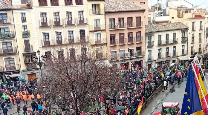 Galería de imágenes. Agricultores y ganaderos se manifiestan en Toledo contra Mercosur y una PAC injusta Manfiestación Toledo 29 enero 2026