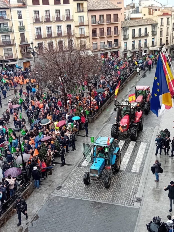 Manfiestación Toledo 29 enero 2026