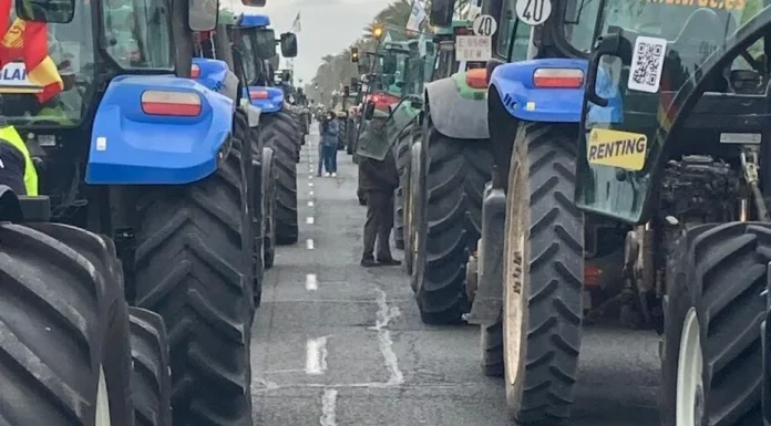 El campo español volverá a movilizarse en las próximas semanas manifestaciones agricultores