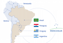 Advierten que Mercosur puede ser “un tiro en el pie” para el olivar español