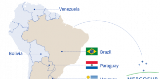 Advierten que Mercosur puede ser “un tiro en el pie” para el olivar español