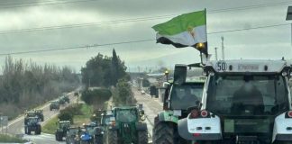 Las movilizaciones del campo arrancan con fuerza: 2.500 tractores colapsan las carreteras extremeñas movilizaciones