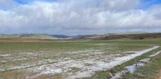 Castilla-La Mancha permitirá aplicar en PAC 2026 el reconocimiento de causa de fuerza mayor por lluvia
