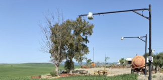 Crean una plataforma inteligente que estima el riego diario proyecto AquaCrop-IoT