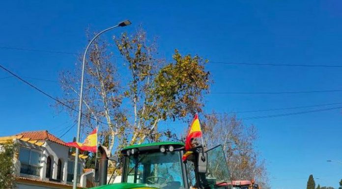 Unión de Uniones de Agricultores y Ganaderos insta a la movilización del campo